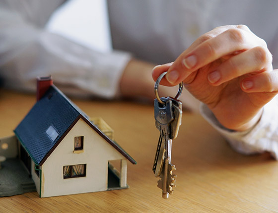 Direito Imobiliário